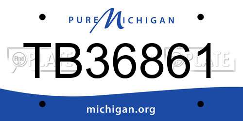 TB36861 Michigan License Plate