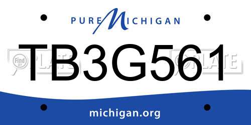 TB3G561 Michigan License Plate