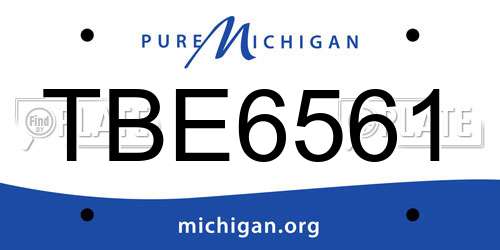 TBE6561 Michigan License Plate