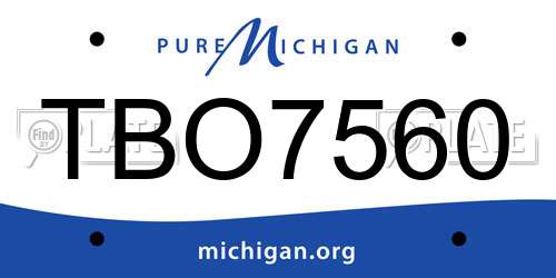 TBO7560 Michigan License Plate