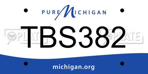 TBS382 Michigan License Plate
