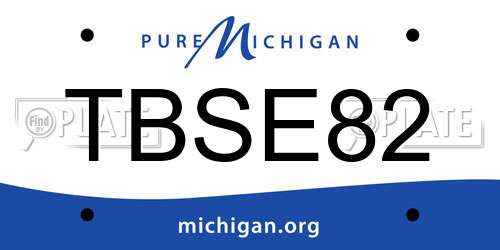 TBSE82 Michigan License Plate