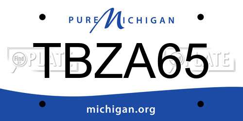 TBZA65 Michigan License Plate