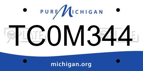 TC0M344 Michigan License Plate