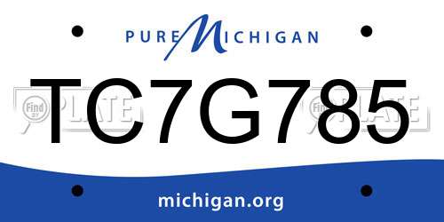 TC7G785 Michigan License Plate
