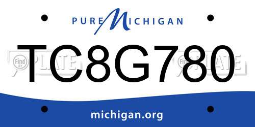 TC8G780 Michigan License Plate