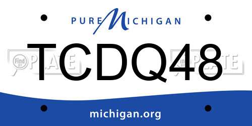 TCDQ48 Michigan License Plate