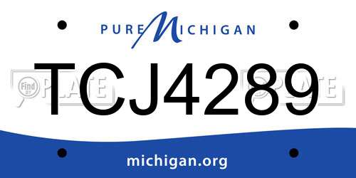 TCJ4289 Michigan License Plate