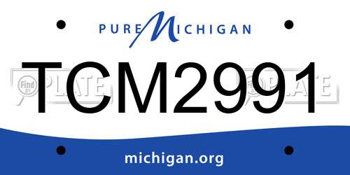 TCM2991 Michigan License Plate