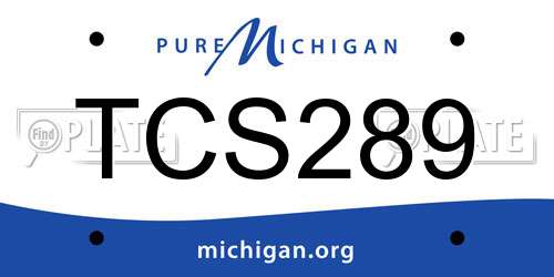 TCS289 Michigan License Plate