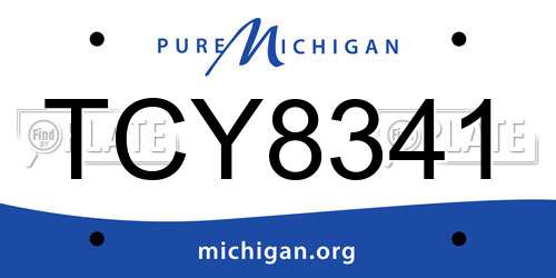 TCY8341 Michigan License Plate