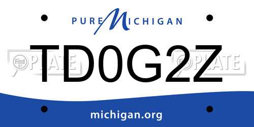 TD0G2Z Michigan License Plate