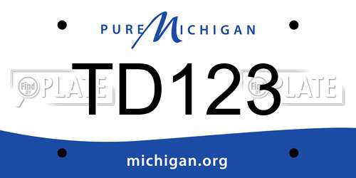 TD123 Michigan License Plate