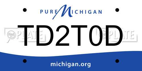 TD2T0D Michigan License Plate