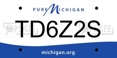 TD6Z2S Michigan License Plate