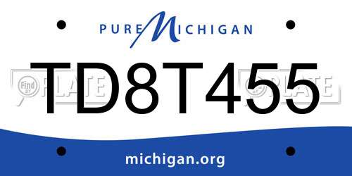 TD8T455 Michigan License Plate