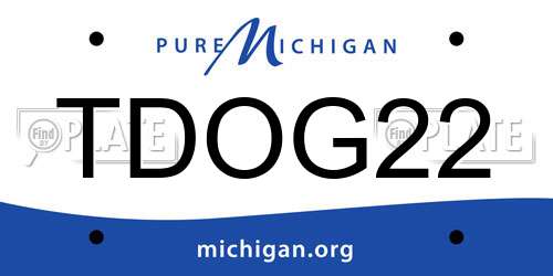 TDOG22 Michigan License Plate