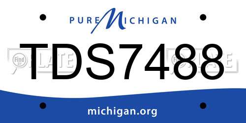 TDS7488 Michigan License Plate