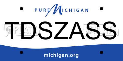 TDSZASS Michigan License Plate