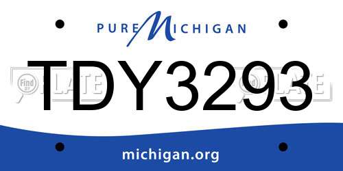 TDY3293 Michigan License Plate