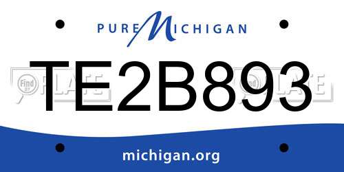 TE2B893 Michigan License Plate