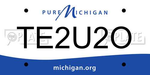 TE2U2O Michigan License Plate