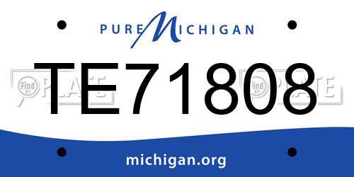 TE71808 Michigan License Plate