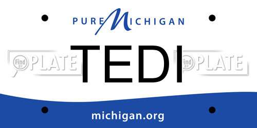 TEDI Michigan License Plate
