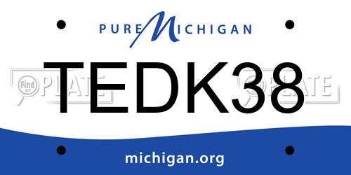 TEDK38 Michigan License Plate