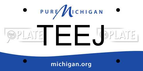TEEJ Michigan License Plate