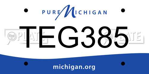 TEG385 Michigan License Plate