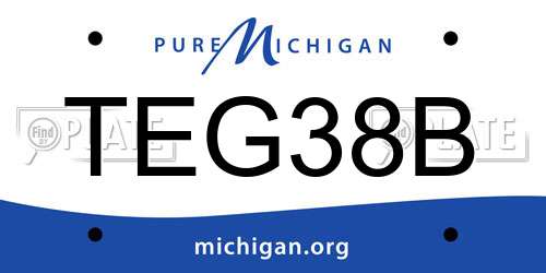 TEG38B Michigan License Plate