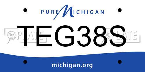TEG38S Michigan License Plate