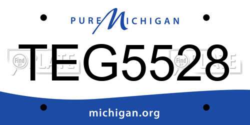 TEG5528 Michigan License Plate