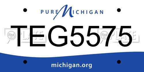 TEG5575 Michigan License Plate