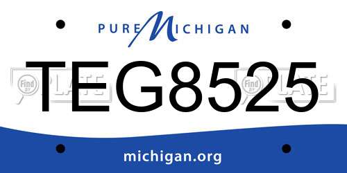 TEG8525 Michigan License Plate