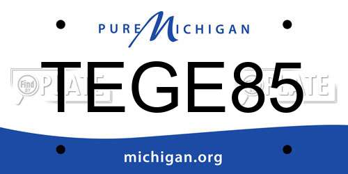 TEGE85 Michigan License Plate
