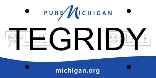 TEGRIDY Michigan License Plate