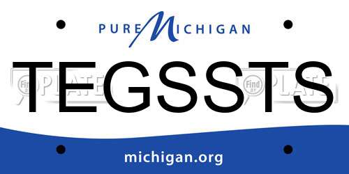 TEGSSTS Michigan License Plate