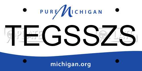 TEGSSZS Michigan License Plate