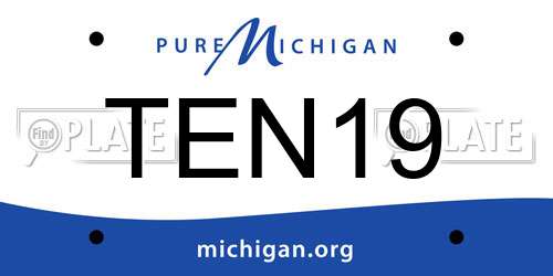 TEN19 Michigan License Plate