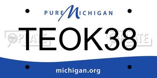 TEOK38 Michigan License Plate