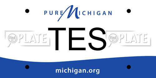 TES Michigan License Plate