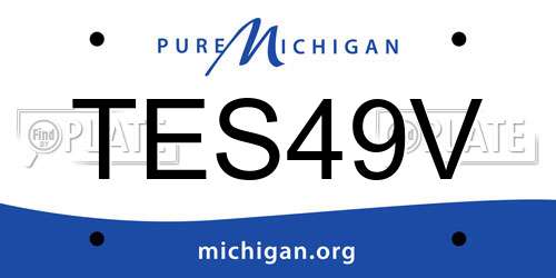 TES49V Michigan License Plate