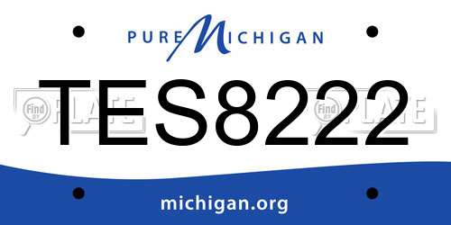 TES8222 Michigan License Plate