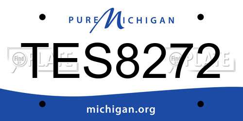 TES8272 Michigan License Plate