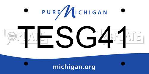 TESG41 Michigan License Plate