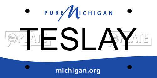 TESLAY Michigan License Plate