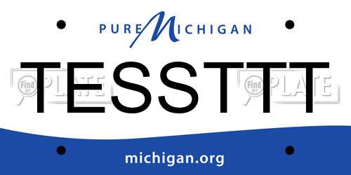 TESSTTT Michigan License Plate
