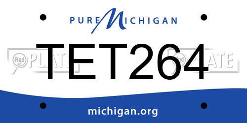 TET264 Michigan License Plate